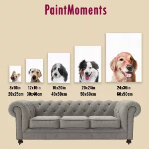 size-chart-pets
