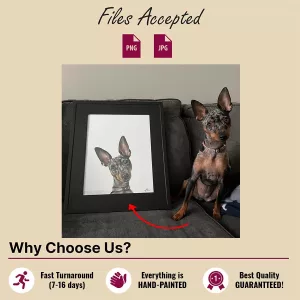 why choose us